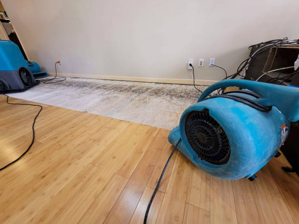 Reliable Basement Flood Cleanup contractor in Savoy, IL by Hirex Water Damage