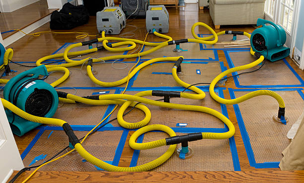Professional Basement Flood Cleanup technician working in Savoy, IL