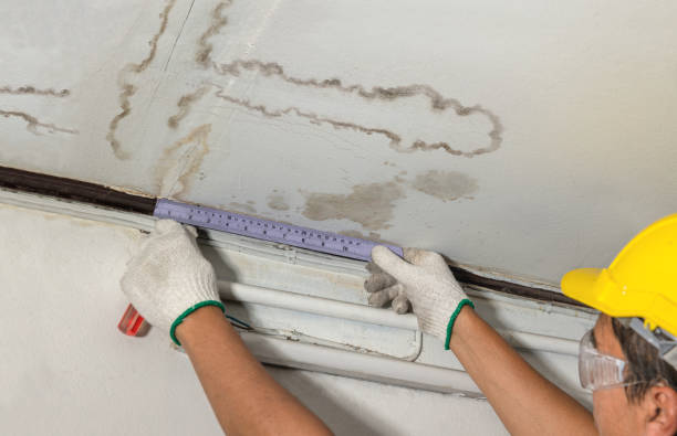 Affordable Water Damage Repair solutions in Savoy, IL